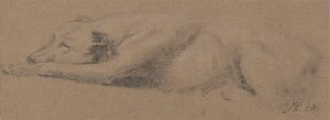 Study of a Sleeping Dog