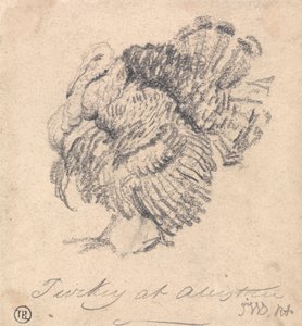 Study of a Turkey by James Ward