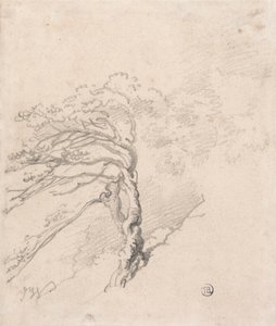Tree on a Hillside by James Ward