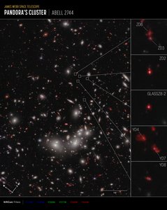 Galaxy Protocluster by James Webb Space Telescope (NASA)