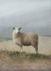 Pastoral Sheep