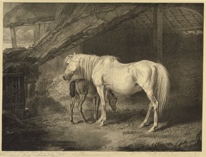 Primrose and Foal, from Celebrated Horses, a set of fourteen racing prints published by the artist, 1823-24 by James after Ward