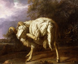A Ram in a Wooded Landscape by Jan Baptist Weenix