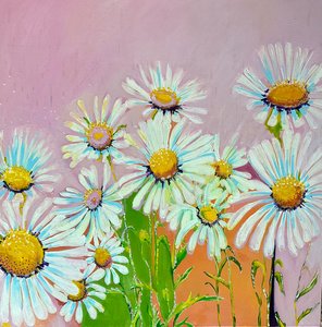Daisies in the Rain, 2024