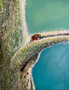 Fly Away Home
