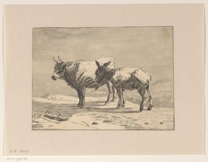 Bull and a Donkey by Jan Bedijs Tom