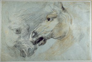 Two studies of a horse