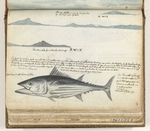 Coastal Profiles of the Canary Islands. Fish.