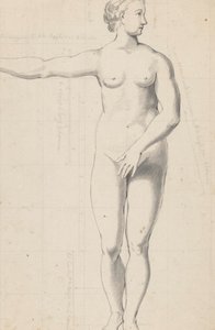 Nude Studies of Woman and Man by Jan Brandes