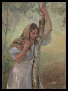 Birch Tree