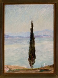 Cypress. From a Journey to Constantinople by Jan Ciągliński