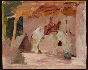 Horse. From a Journey to Turkestan