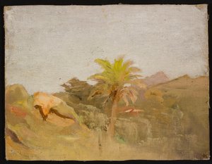 Palm in Ceylon. From a Journey to India