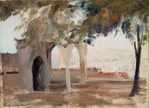 View from Istanbul to Pera. From a Journey to Constantinople by Jan Ciągliński