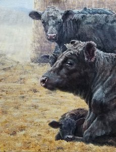 Black Cattle Family by Jan Clizer