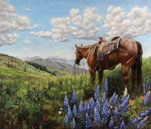 Horse in Mountain Pasture by Jan Clizer