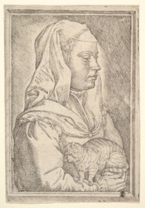 Girl with a Cat, 1546 by Jan Cornelisz Vermeyen
