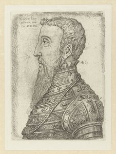Portrait of Henry II by Jan Cornelisz Vermeyen