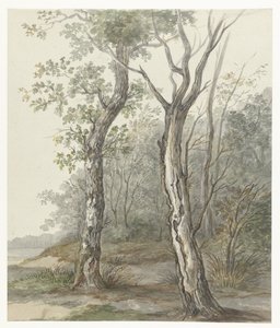 Forest Landscape by Jan Dasveldt