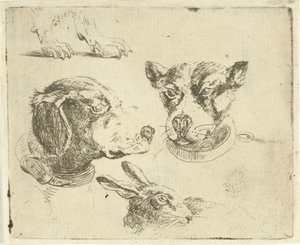 Study Sheet with Two Dog Heads, Dog Paws, and Hare Head by Jan Dasveldt