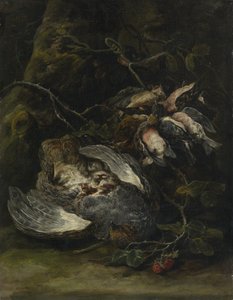 A Partridge and Small Game Birds by Jan Fyt