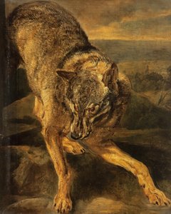 A Wolf by Jan Fyt