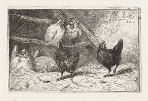 Rooster and Five Hens in a Coop