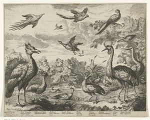Various Birds in a Landscape