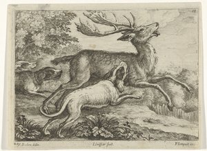 Hunt for a Deer