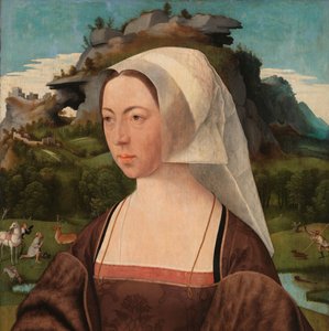 Portrait of an Unknown Woman by Jan Jansz Mostaert