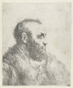 Bust of an Old Man with Fur Coat
