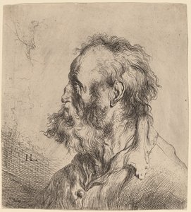 Bust of a Bearded Old Man by Jan Lievens