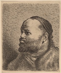Bust of a Man with Thick Lips by Jan Lievens