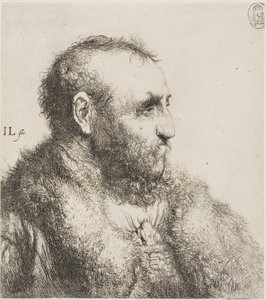 Bust of an Old Man