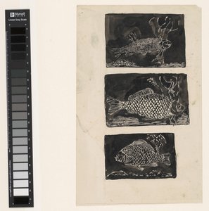 Three Fish