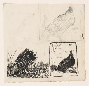 Crow Looking Up at a Gnat by Jan Mankes