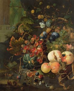 Still Life of Fruit and Insects by Jan Mortel