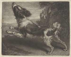 Running Dog, Possibly a Spaniel