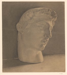 Study of a Plaster Head