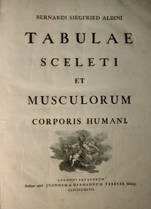 Albinus I, Title Page, from 