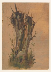 Pollard Willow by Jan Weissenbruch
