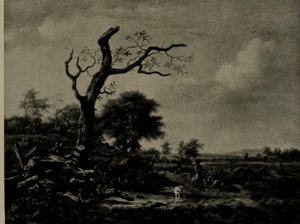 The Leafless Tree