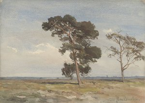 View of the Heath with Two Trees by Jan Willem van Borselen