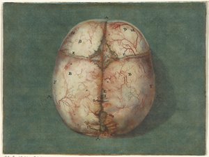 Prints of the Brain and the Heart