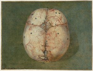 Prints of the Brain and the Heart