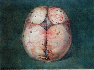The Brain, from 
