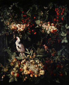 Swags of fruit with flowers round a cartouche with a sulphur crested cockatoo by Jan van (attr. to) Kessel