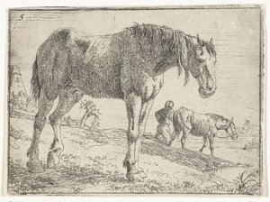 Standing Horse (Landscapes with Horses series) by Jan van Aken