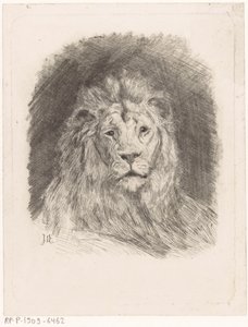 Head of a Lion