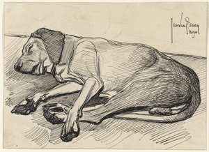 Sleeping Dog, Facing Left